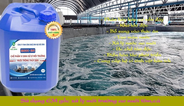 Tầm quan trọng của chế phẩm sinh học cho cá tôm