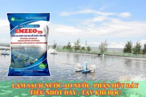 Lợi ích khi sử dụng men vi sinh cho tôm