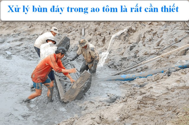 Cách xử lý bùn đáy ao nuôi tôm cá tiết kiệm, hiệu quả