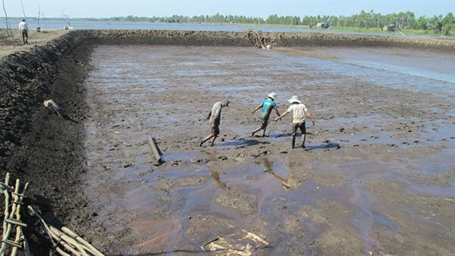 Những nguyên nhân khiến bùn đáy ao nuôi tôm cá ngày càng nhiều