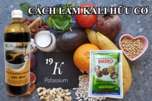 Kali hữu cơ là gì? Cách làm kali hữu cơ bón cây hiệu quả nhất