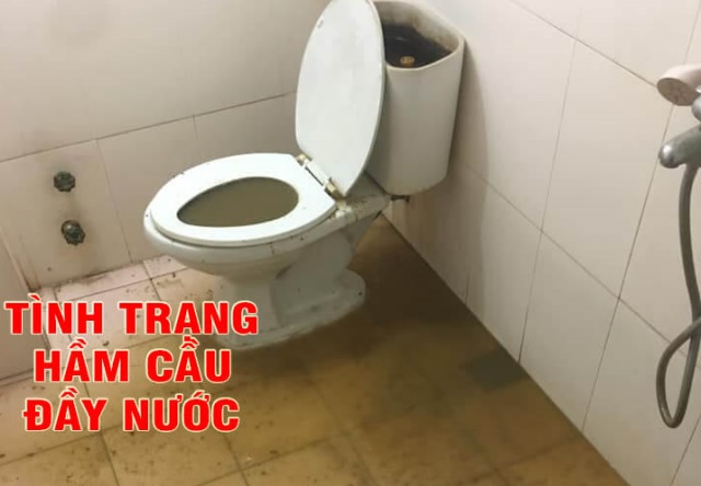 Có nhiều nguyên nhân gây nên tình trạng hầm cầu bị đầy nước