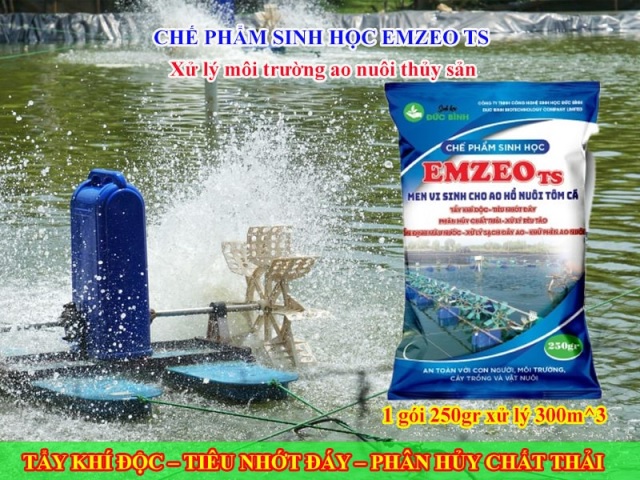 2. Men vi sinh EMZEO TS – Thuốc xử lý nước ao nuôi tôm cá an toàn, hiệu quả