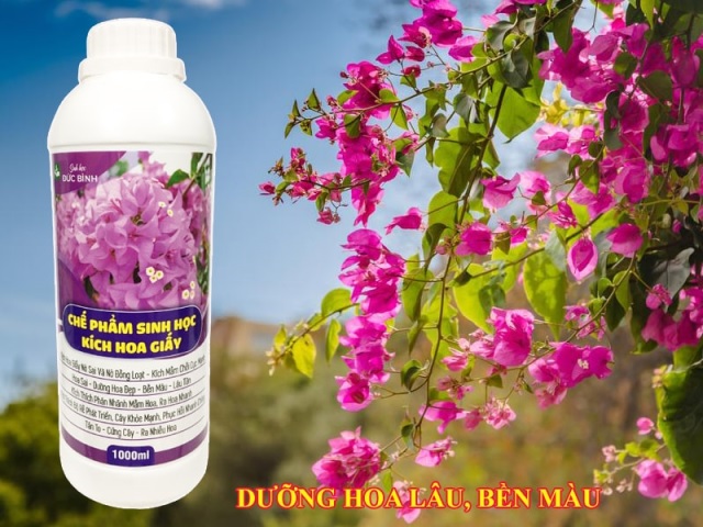 Cách kích hoa giấy ra hoa đồng loạt