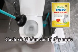 Cách xử lý hầm cầu bị đầy nước đơn giản và hiệu quả nhất là sử dụng men xử lý bể phốt emzeo định kỳ 3 tháng/lần
