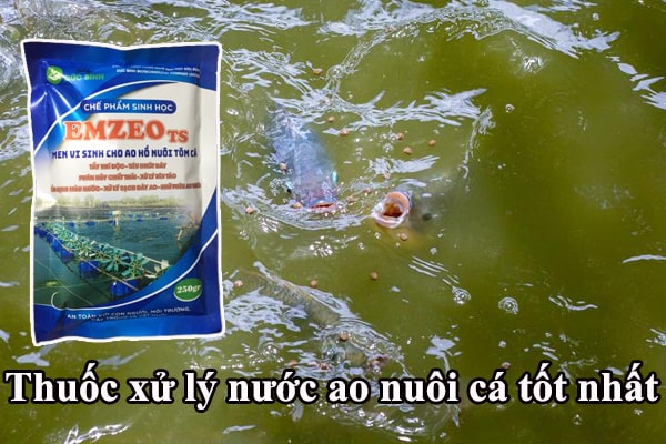 Thuốc xử lý nước ao nuôi cá loại nào tốt?