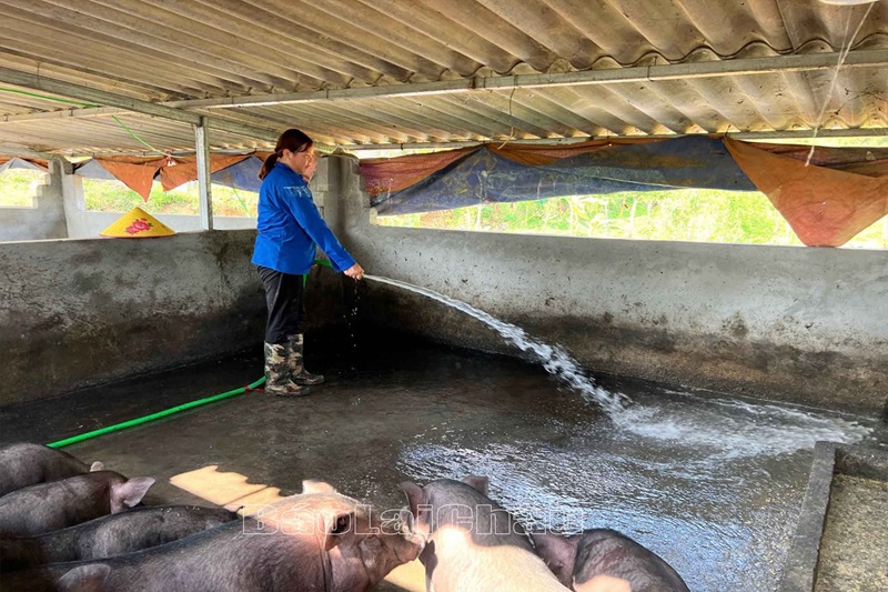 Bảo vệ môi trường trong quá trình chăn nuôi đảm bảo cho sức khỏe con người, hệ sinh thái và thúc đẩy sự phát triển bền vững Bảo vệ môi trường trong quá trình chăn nuôi đảm bảo cho sức khỏe con người, hệ sinh thái và thúc đẩy sự phát triển bền vững