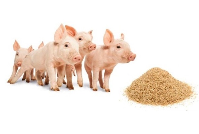 Các sản phẩm công nghệ vi sinh vật trong sản xuất nông nghiệp (Ứng dụng công nghệ vi sinh trong nông nghiệp) - Men vi sinh Các sản phẩm công nghệ vi sinh vật trong sản xuất nông nghiệp (Ứng dụng công nghệ vi sinh trong nông nghiệp) - Men vi sinh