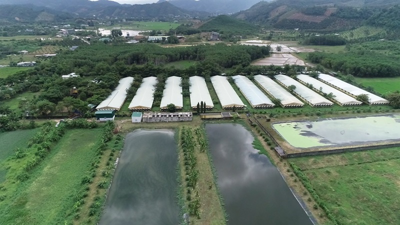 Chăn nuôi tích hợp không chỉ tối ưu hóa việc sử dụng tài nguyên mà còn giảm thiểu ô nhiễm môi trường Chăn nuôi tích hợp không chỉ tối ưu hóa việc sử dụng tài nguyên mà còn giảm thiểu ô nhiễm môi trường