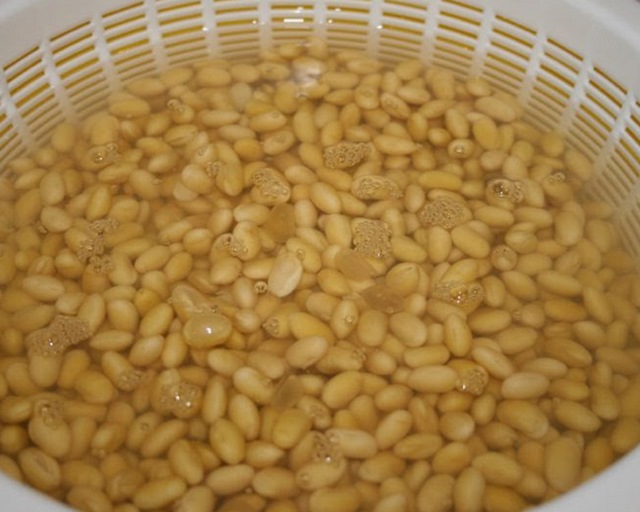 Đậu nành sử dụng để làm nước tương phải trải qua quá trình ngâm và rửa xối Đậu nành sử dụng để làm nước tương phải trải qua quá trình ngâm và rửa xối