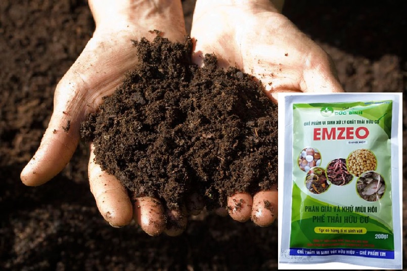Dùng chế phẩm Emzeo Đức Bình để ủ phân bắc có hiệu quả Dùng chế phẩm Emzeo Đức Bình để ủ phân bắc có hiệu quả