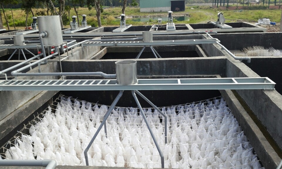 Giá thể vi sinh hỗ trợ việc phát triển bền vững trong nuôi trồng thủy sản Giá thể vi sinh hỗ trợ việc phát triển bền vững trong nuôi trồng thủy sản