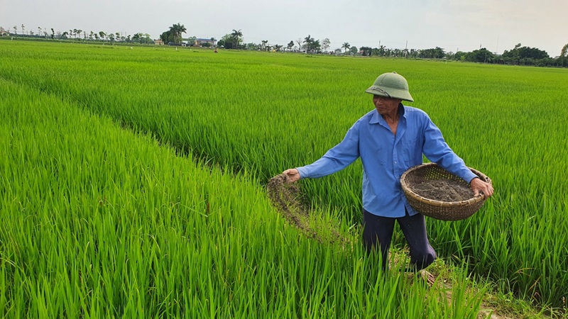 Mỗi loại cây trồng phù hợp với một nhóm phân lân nhất định Mỗi loại cây trồng phù hợp với một nhóm phân lân nhất định