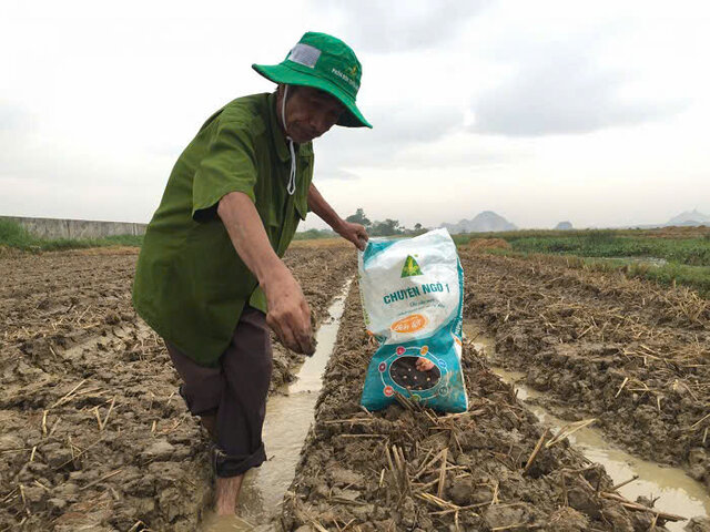 Nắm vững kỹ thuật bón lót để đạt được hiệu quả tốt nhất Nắm vững kỹ thuật bón lót để đạt được hiệu quả tốt nhất