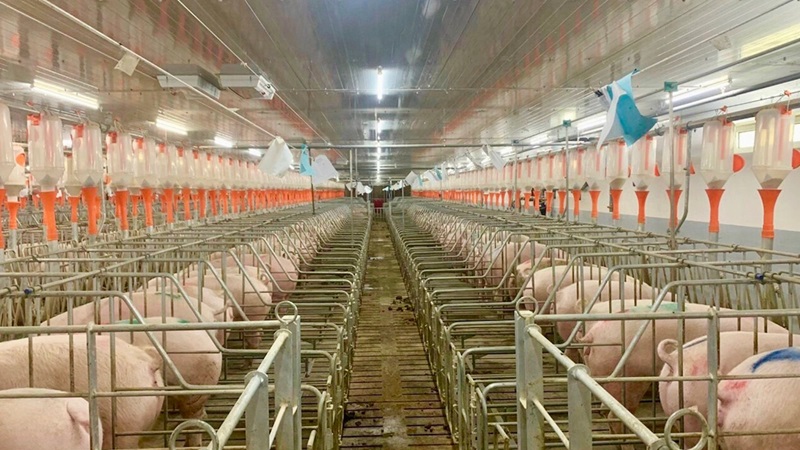 Nghiên cứu và phát triển công nghệ giúp nâng cao hiệu quả sản xuất Nghiên cứu và phát triển công nghệ giúp nâng cao hiệu quả sản xuất