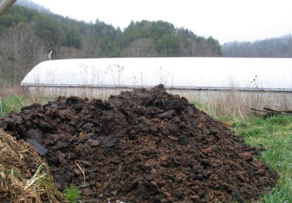 Phân chuồng là gì?