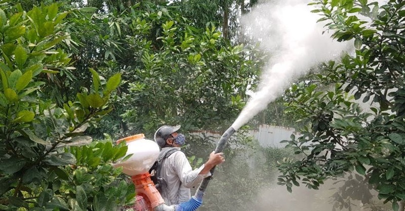 Thuốc trừ sâu chuyên dụng là một giải pháp hiệu quả và cần thiết trong việc kiểm soát rệp sáp Thuốc trừ sâu chuyên dụng là một giải pháp hiệu quả và cần thiết trong việc kiểm soát rệp sáp