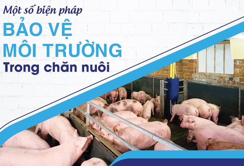 Tác động tiêu cực đến môi trường từ ngành chăn nuôi đòi hỏi cần có sự quản lý và các phương pháp bền vững Tác động tiêu cực đến môi trường từ ngành chăn nuôi đòi hỏi cần có sự quản lý và các phương pháp bền vững
