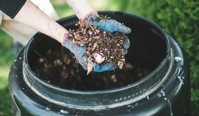 Tổng hợp một số yếu điểm của mùn bã hữu cơ Tổng hợp một số yếu điểm của mùn bã hữu cơ