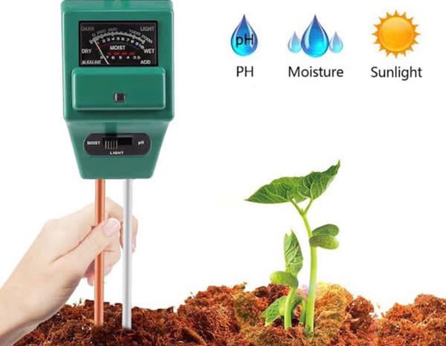 Vi sinh vật giảm pH đất, cây sẽ hấp thụ nhanh photpho hơn Vi sinh vật giảm pH đất, cây sẽ hấp thụ nhanh photpho hơn