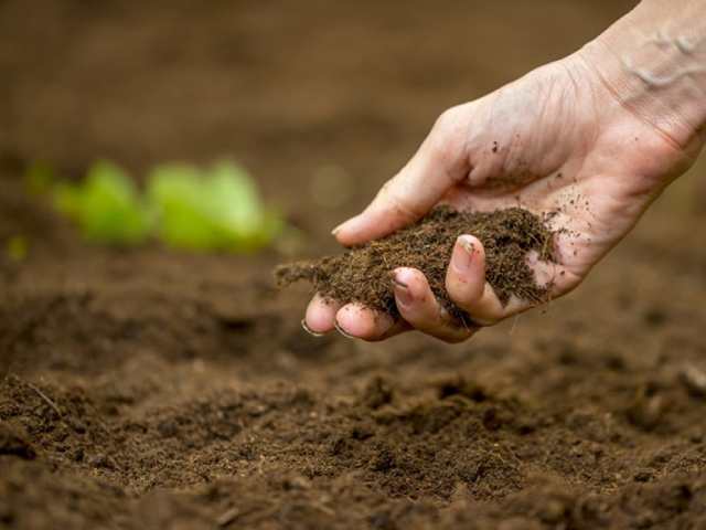 Có thể sử dụng chế phẩm nông nghiệp để cải thiện chất lượng đất Có thể sử dụng chế phẩm nông nghiệp để cải thiện chất lượng đất