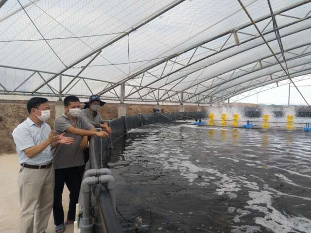 Đào tạo và nâng cao năng lực cho người nuôi trồng thủy sản Đào tạo và nâng cao năng lực cho người nuôi trồng thủy sản