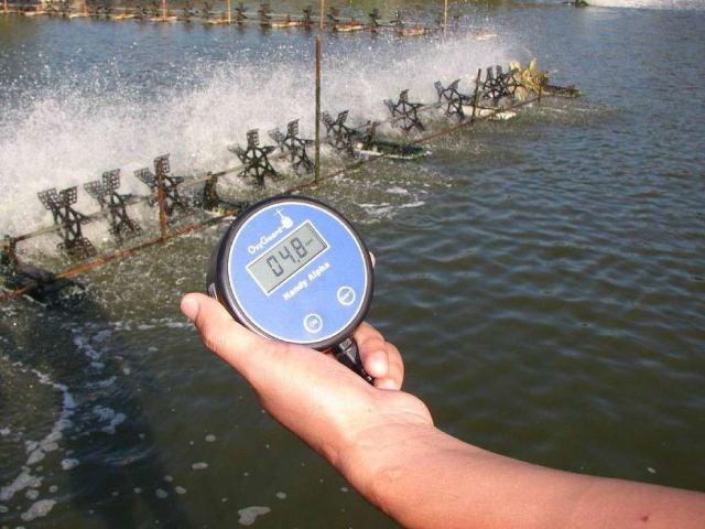 Điều chỉnh độ mặn trong nước nuôi tôm Điều chỉnh độ mặn trong nước nuôi tôm