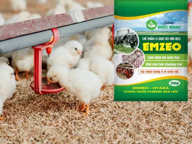 Lựa chọn chế phẩm sinh học chất lượng Lựa chọn chế phẩm sinh học chất lượng