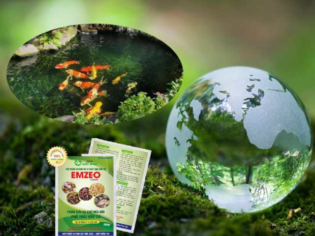 Phương pháp an toàn, thân thiện với môi trường Phương pháp an toàn, thân thiện với môi trường