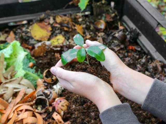 Phương pháp thân thiện với môi trường, tiết kiệm chi phí Phương pháp thân thiện với môi trường, tiết kiệm chi phí