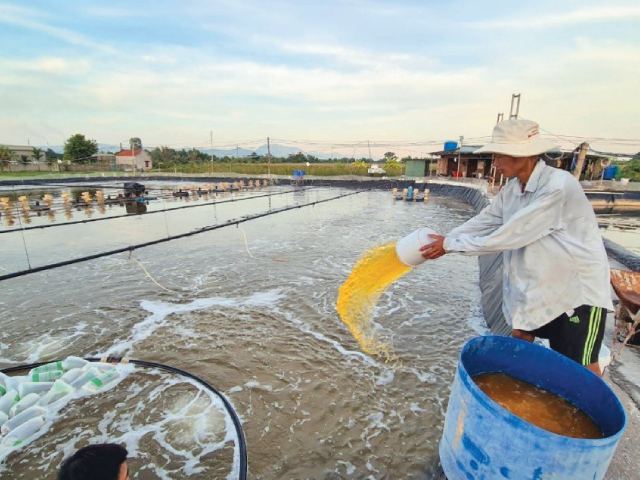 Sử dụng chế phẩm vi sinh để kiểm soát vi khuẩn Sử dụng chế phẩm vi sinh để kiểm soát vi khuẩn