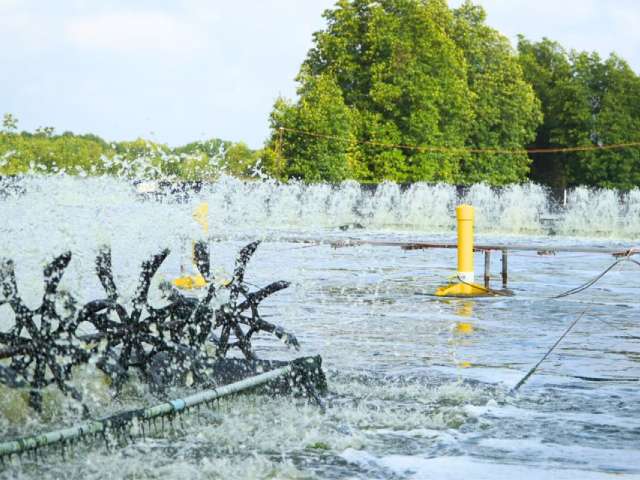 Tăng cường ứng dụng công nghệ cao trong nuôi trồng thủy sản Tăng cường ứng dụng công nghệ cao trong nuôi trồng thủy sản