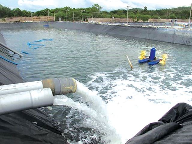 Thay nước định kỳ cho ao tôm Thay nước định kỳ cho ao tôm