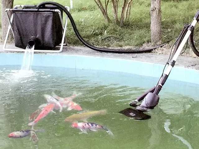 Vệ sinh hồ cá trước khi thả vi sinh Vệ sinh hồ cá trước khi thả vi sinh