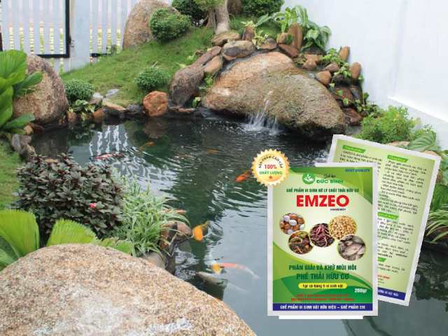 Vi sinh khử mùi hồ cá giúp phân hủy các chất hữu cơ thừa Vi sinh khử mùi hồ cá giúp phân hủy các chất hữu cơ thừa