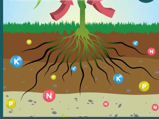 Vi sinh vật phân hủy các hợp chất hữu cơ phức tạp Vi sinh vật phân hủy các hợp chất hữu cơ phức tạp