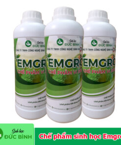 Chế phẩm sinh học Emgro