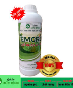 Chế phẩm EM gốc cho nông nghiệp hữu cơ