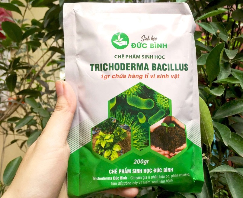 Chế phẩm nấm trichoderma bacillus - Đức Bình