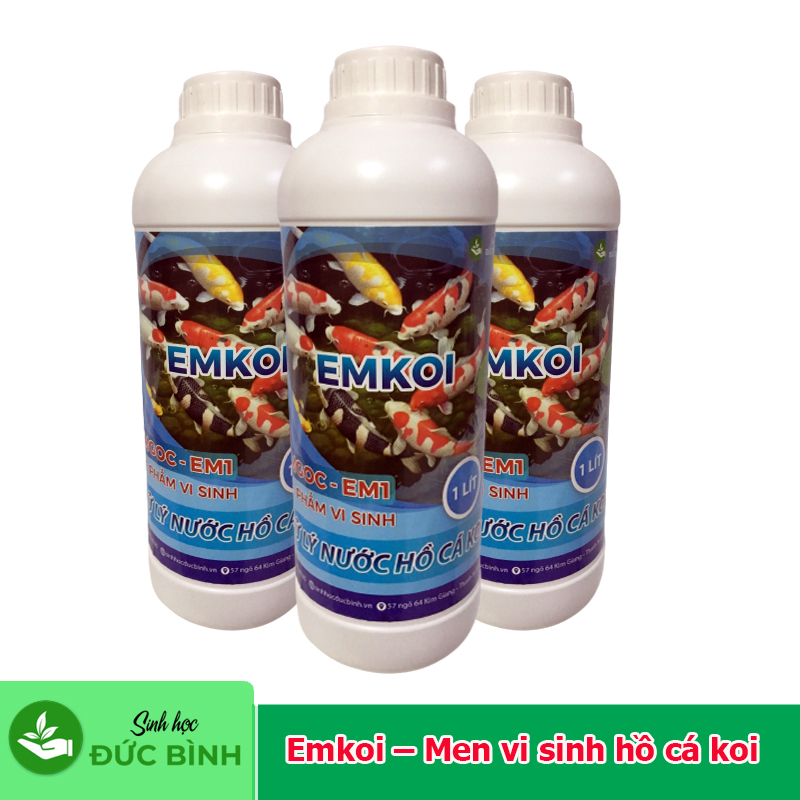 Men vi sinh xử lý nước hồ cá koi – Emkoi