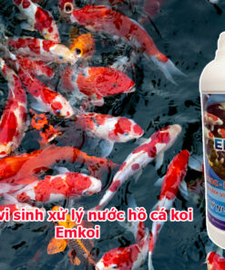 Men vi sinh xử lý nước hồ cá koi – Emkoi
