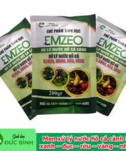 Men xử lý nước hồ cá cảnh bị xanh – đục – rêu – vàng – nhớt