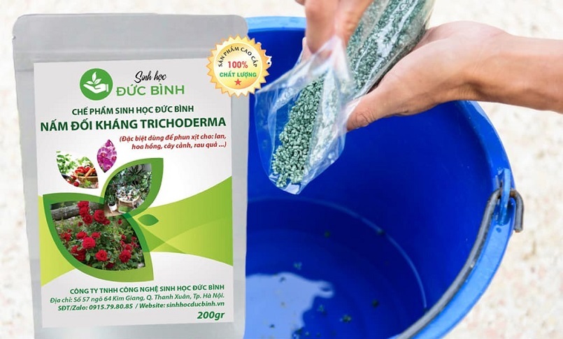 Trichoderma sẽ hoạt động mạnh mẽ khi kết hợp với chế phẩm sinh học phù hợp