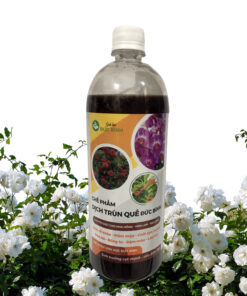 Tác dụng của dịch trùn quế cho hoa hồng