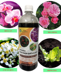 Cách sử dụng dịch trùn quế