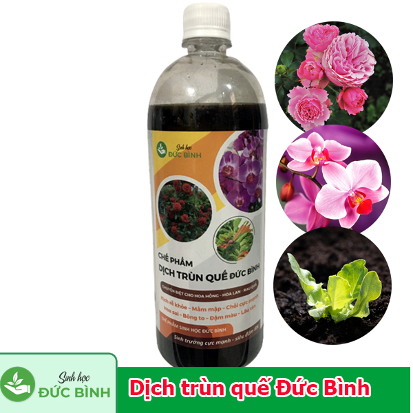 Dịch trùn quế Đức Bình là chế phẩm dịch trùn quế cho hoa hồng, hoa lan và rau quả