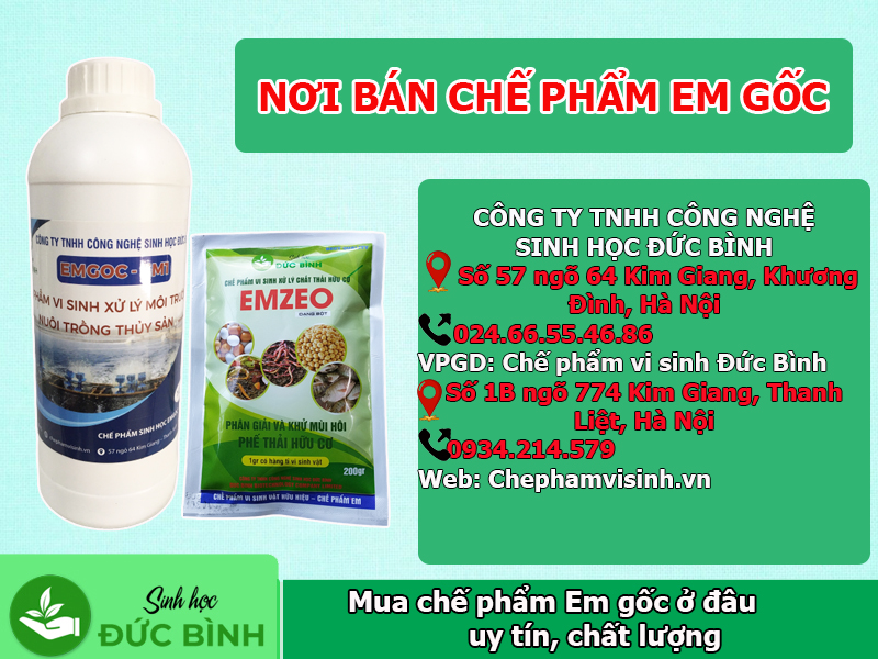 Mua chế phẩm Em gốc ở đâu uy tín, chất lượng