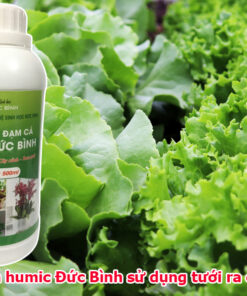 Đạm cá humic Đức Bình sử dụng tưới ra củ rất tốt