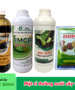 Mật rỉ đường nuôi cấy vi sinh