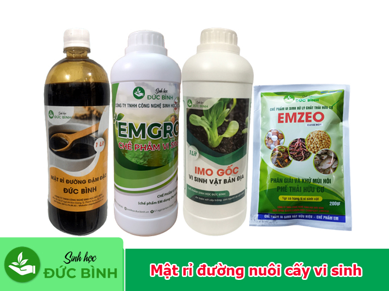 Mật rỉ đường nuôi cấy vi sinh